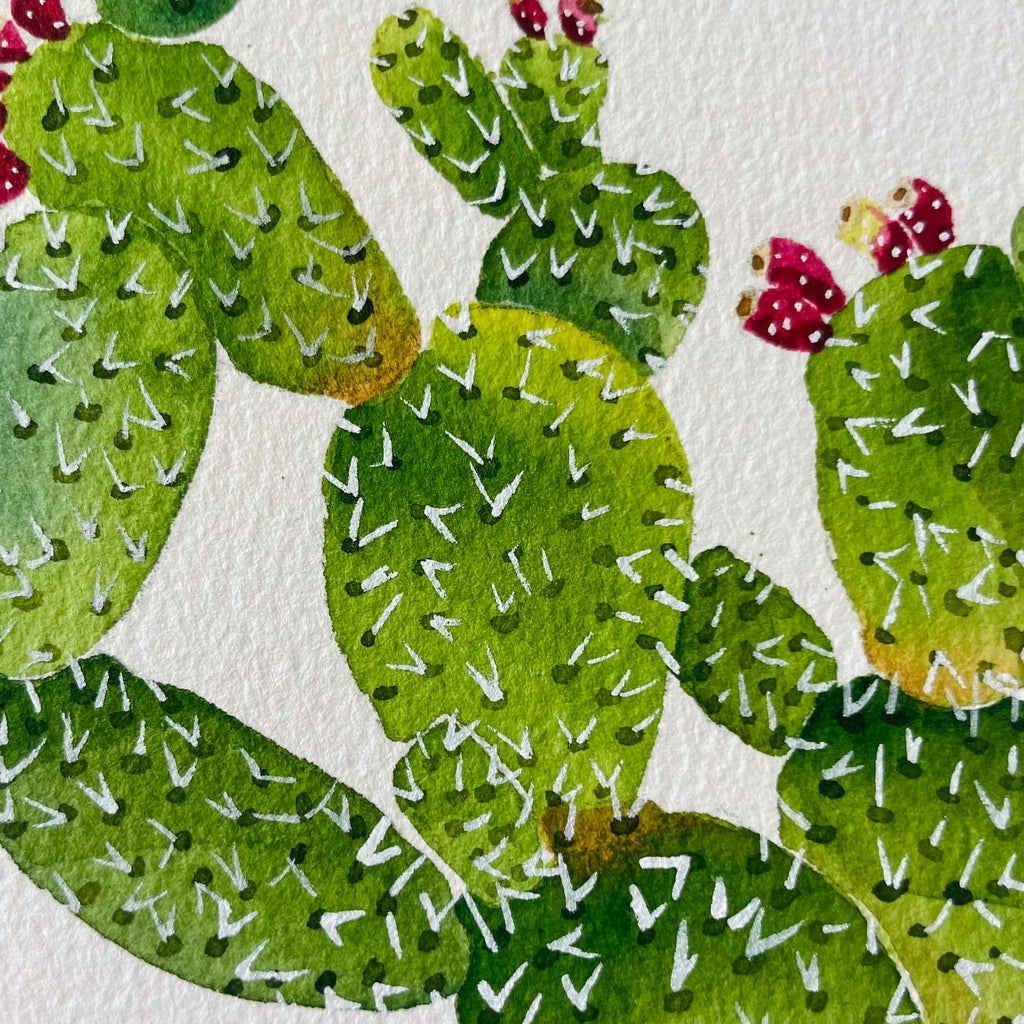 Prickly Pear Cactus Art Print 8x10