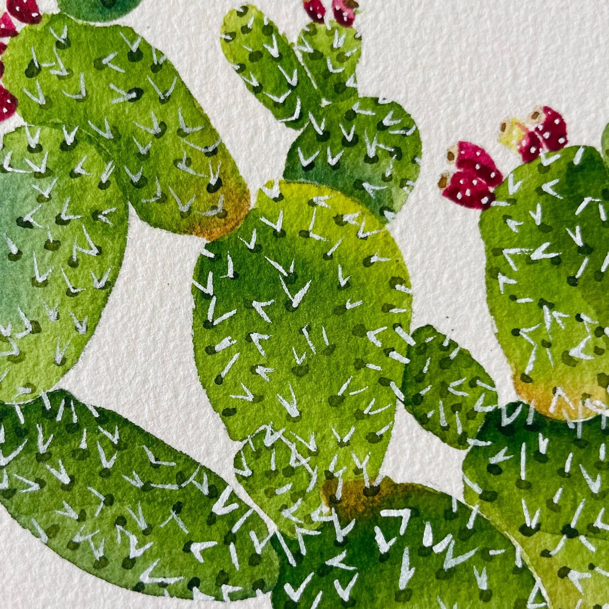 Prickly Pear Cactus Art Print 8x10