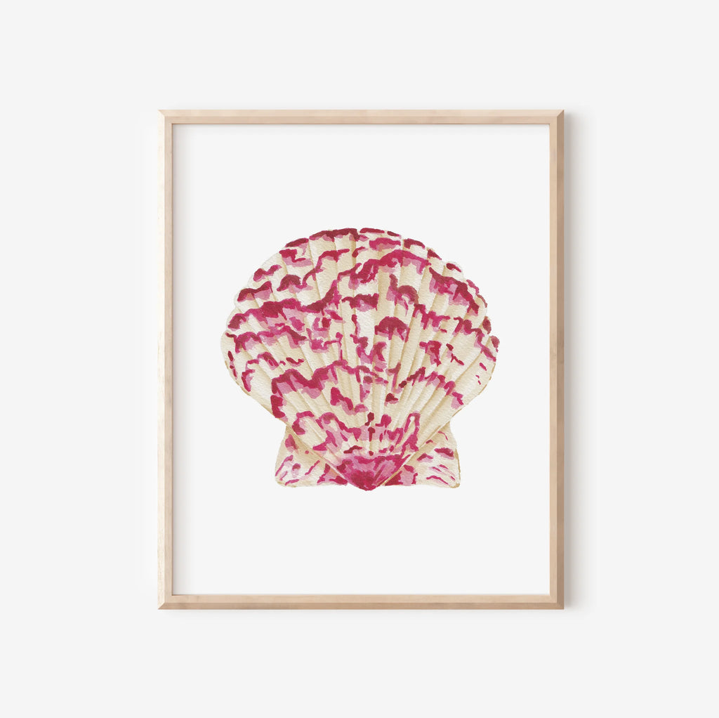 Calico Scallop Art Print 8x10