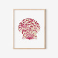 Calico Scallop Art Print 8x10