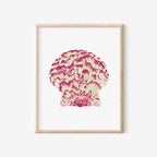 Calico Scallop Art Print 8x10