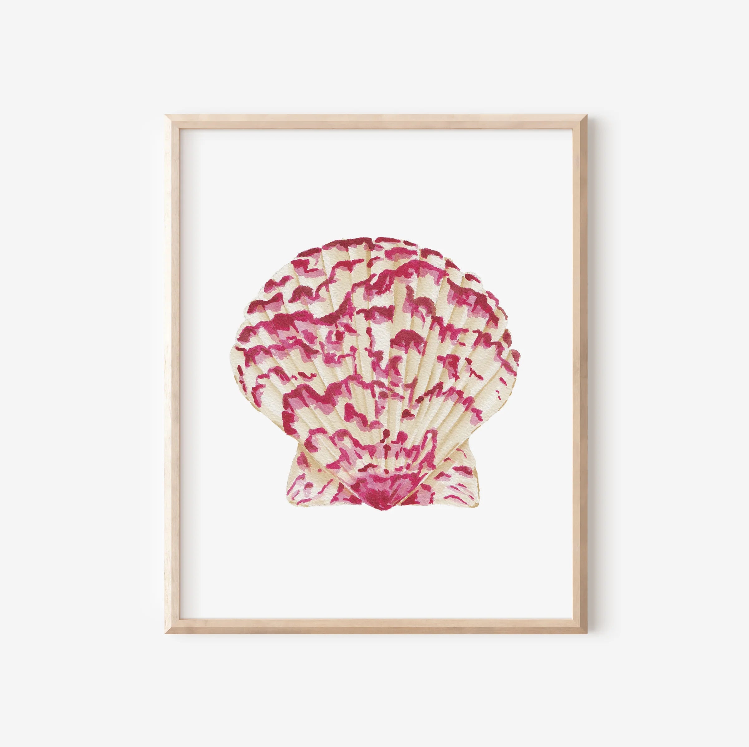 Calico Scallop Art Print 8x10