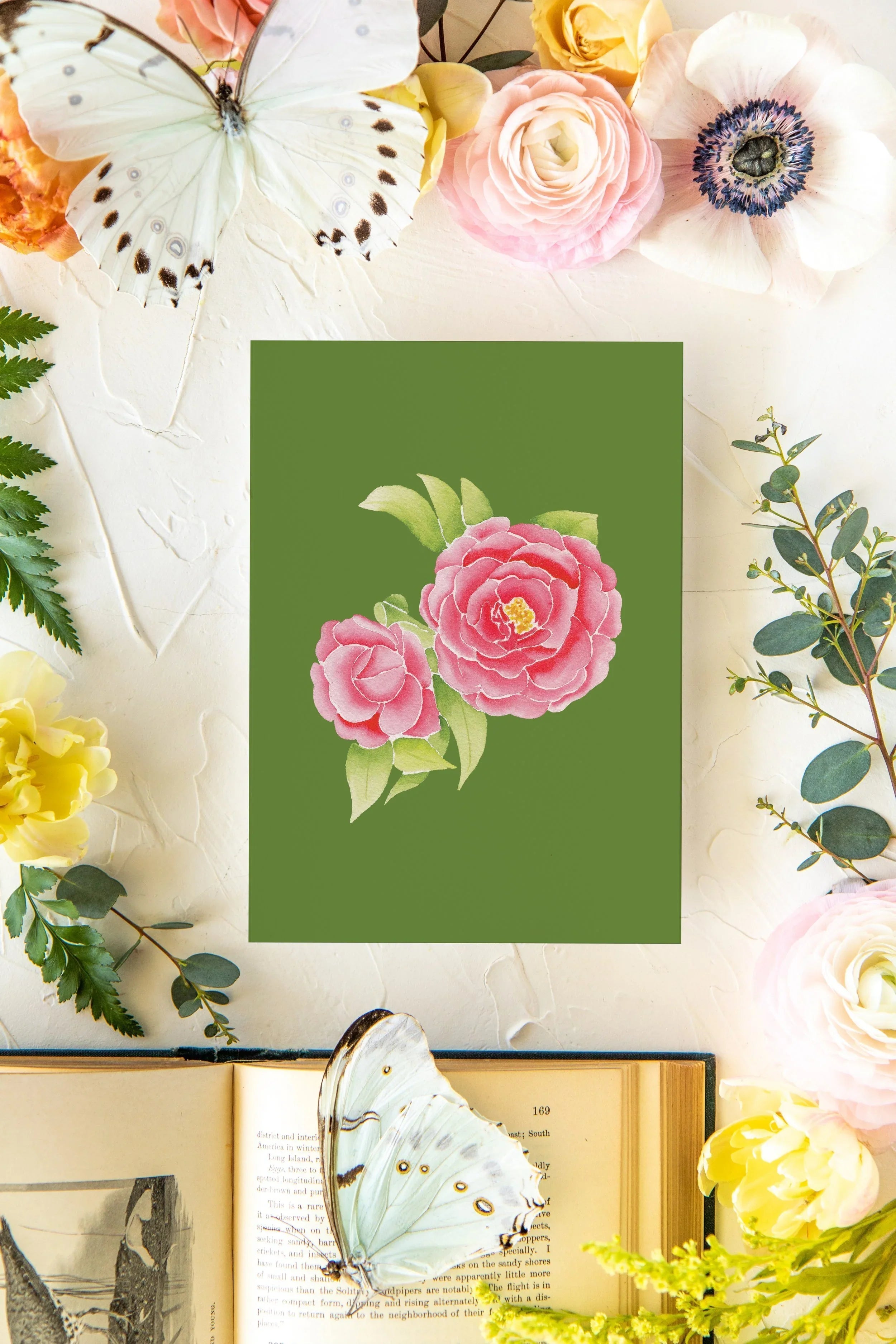 Colorful Botanical 5x7 Print - Camellia