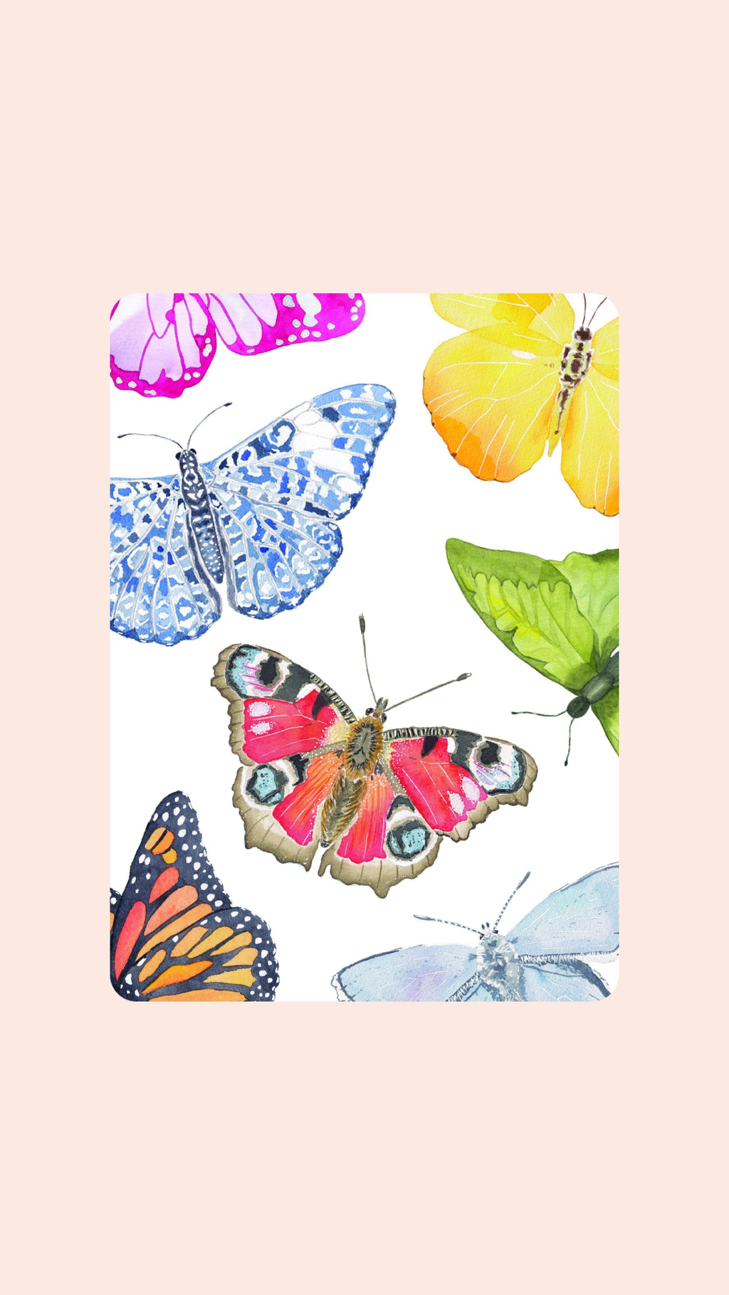 Double Deck of Butterfly Playing Cards with Acrylic Box