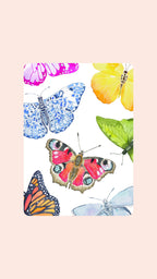 Double Deck of Butterfly Playing Cards with Acrylic Box