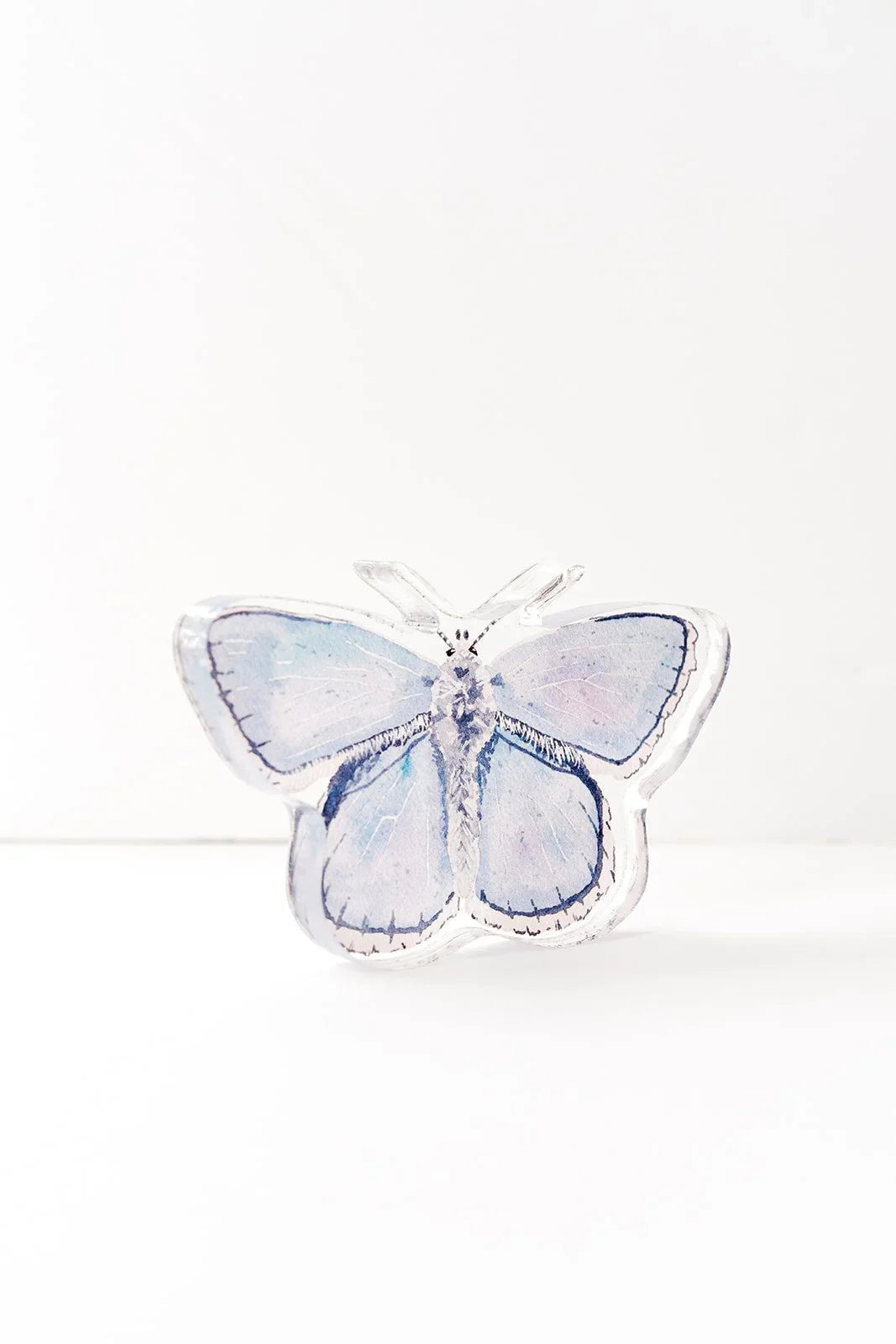 Blue Butterfly Acrylic Art Block Large