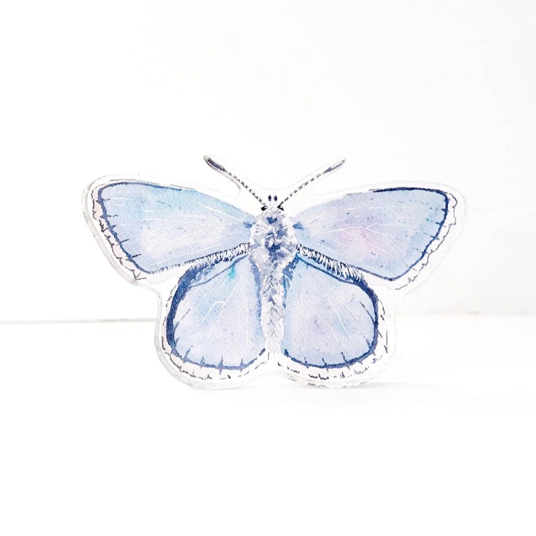 Blue Butterfly Acrylic Art Block Small