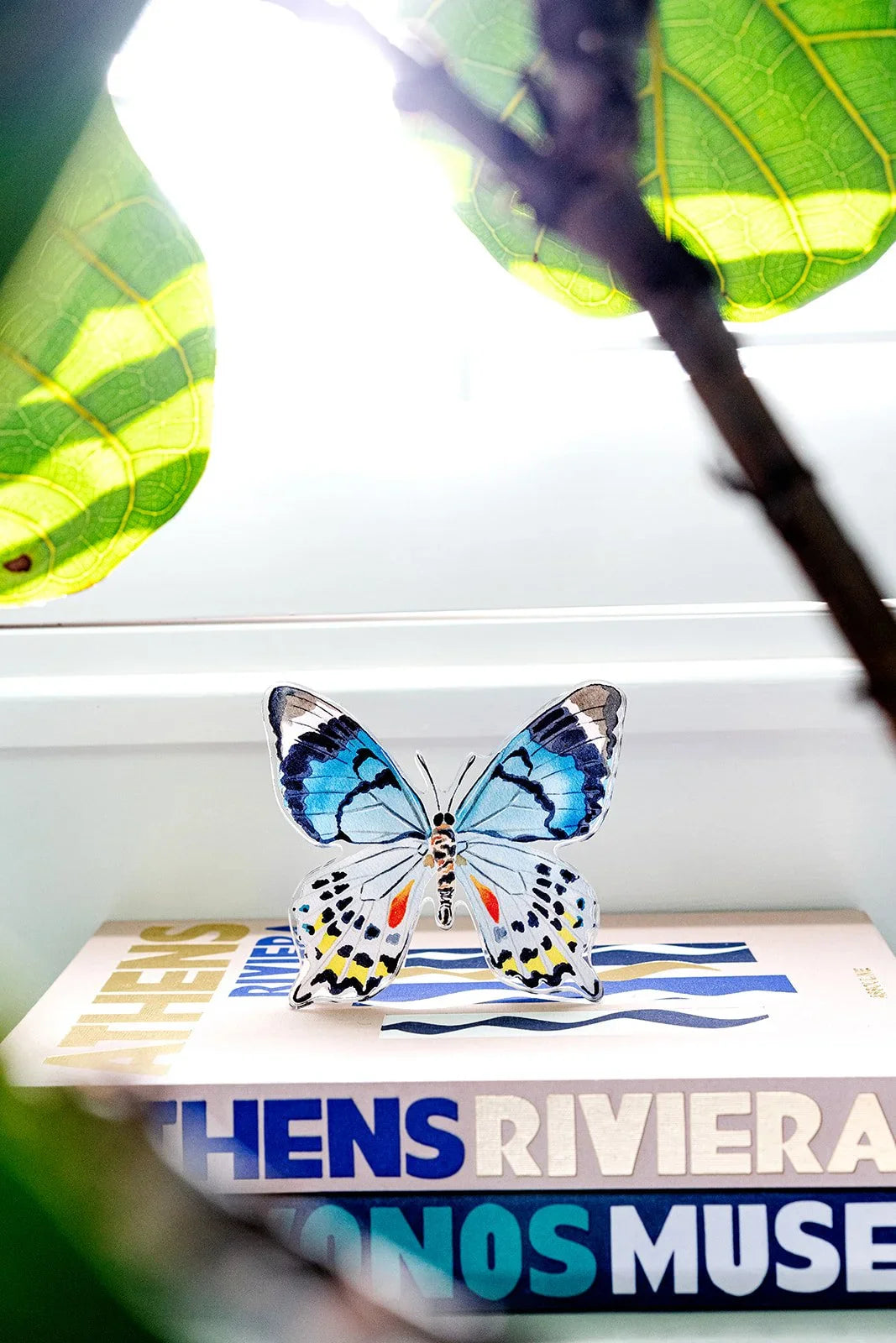 Blue Multi Butterfly Acrylic Art Block Large