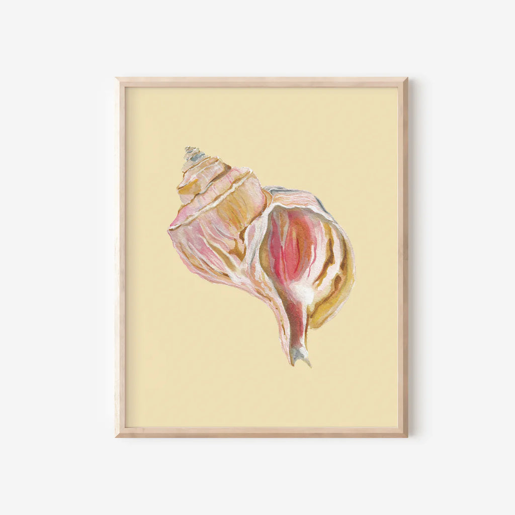 Channeled Whelk Art Print Colorful 5x7