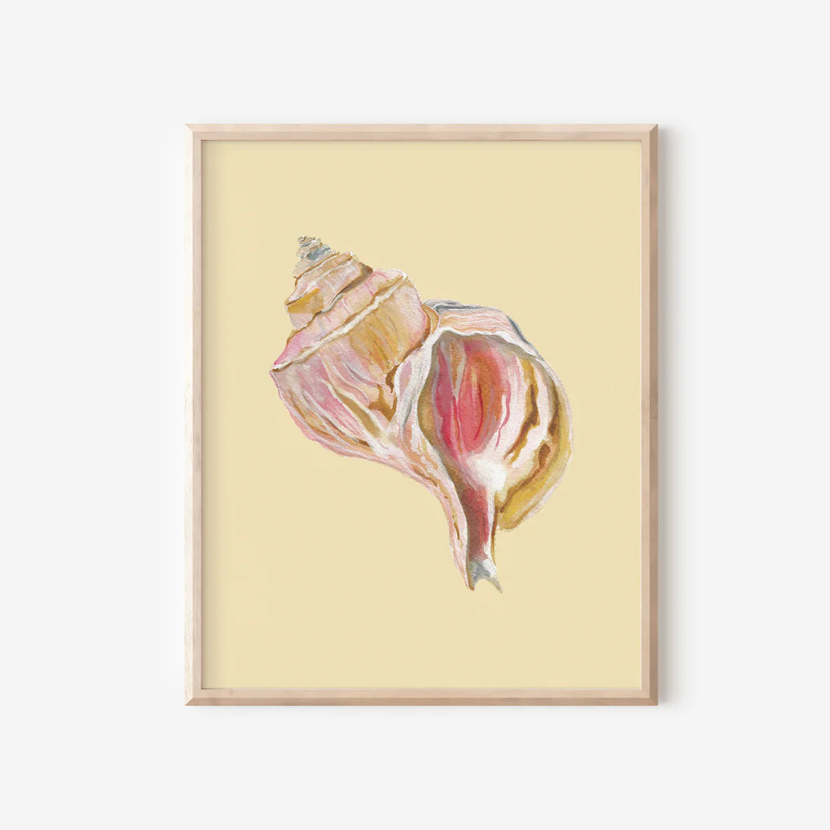 Channeled Whelk Art Print Colorful 5x7