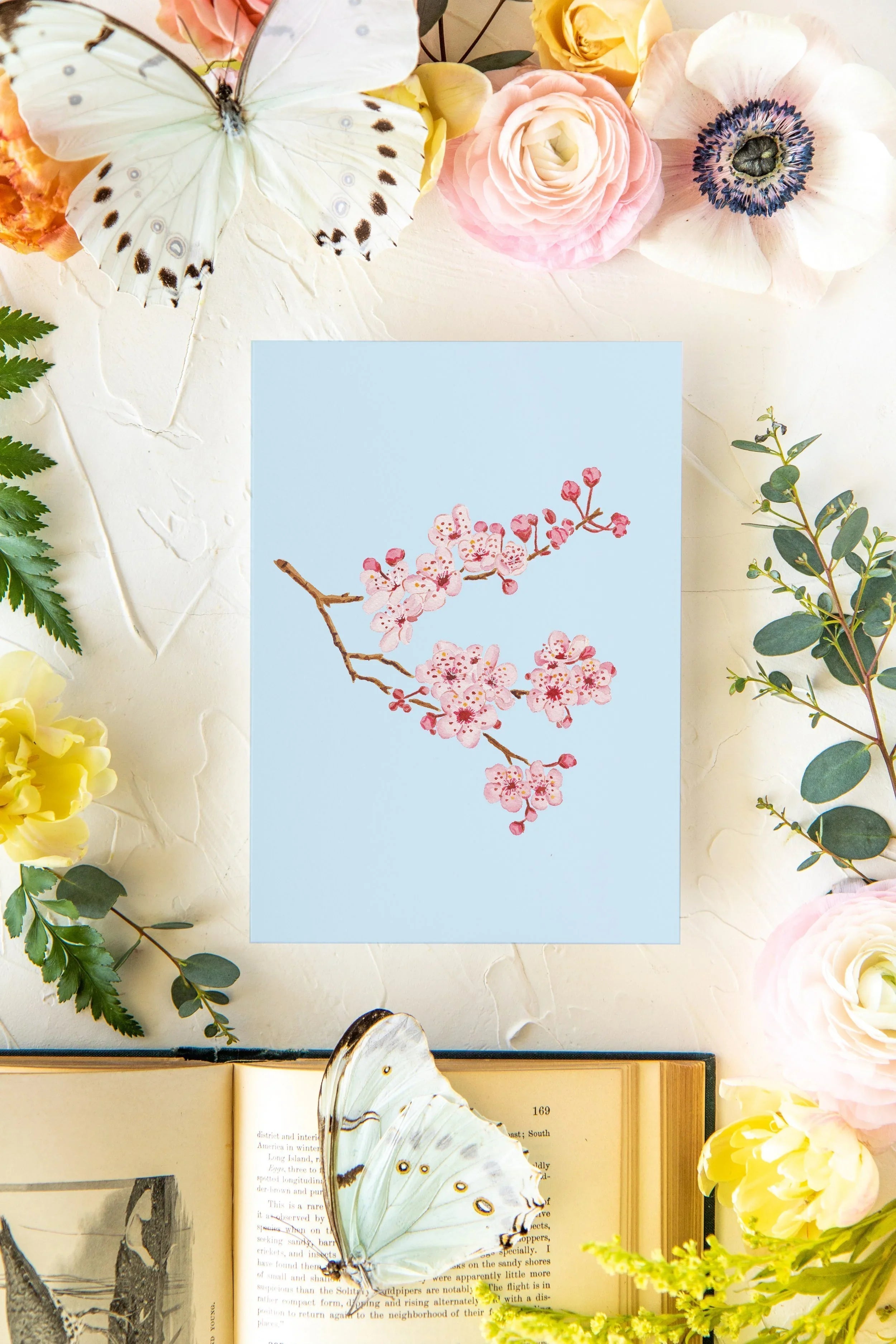 Colorful Botanical 5x7 Print - Cherry Blossom