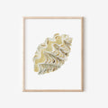 Giant Clamshell Art Print 8x10