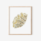 Giant Clamshell Art Print 8x10