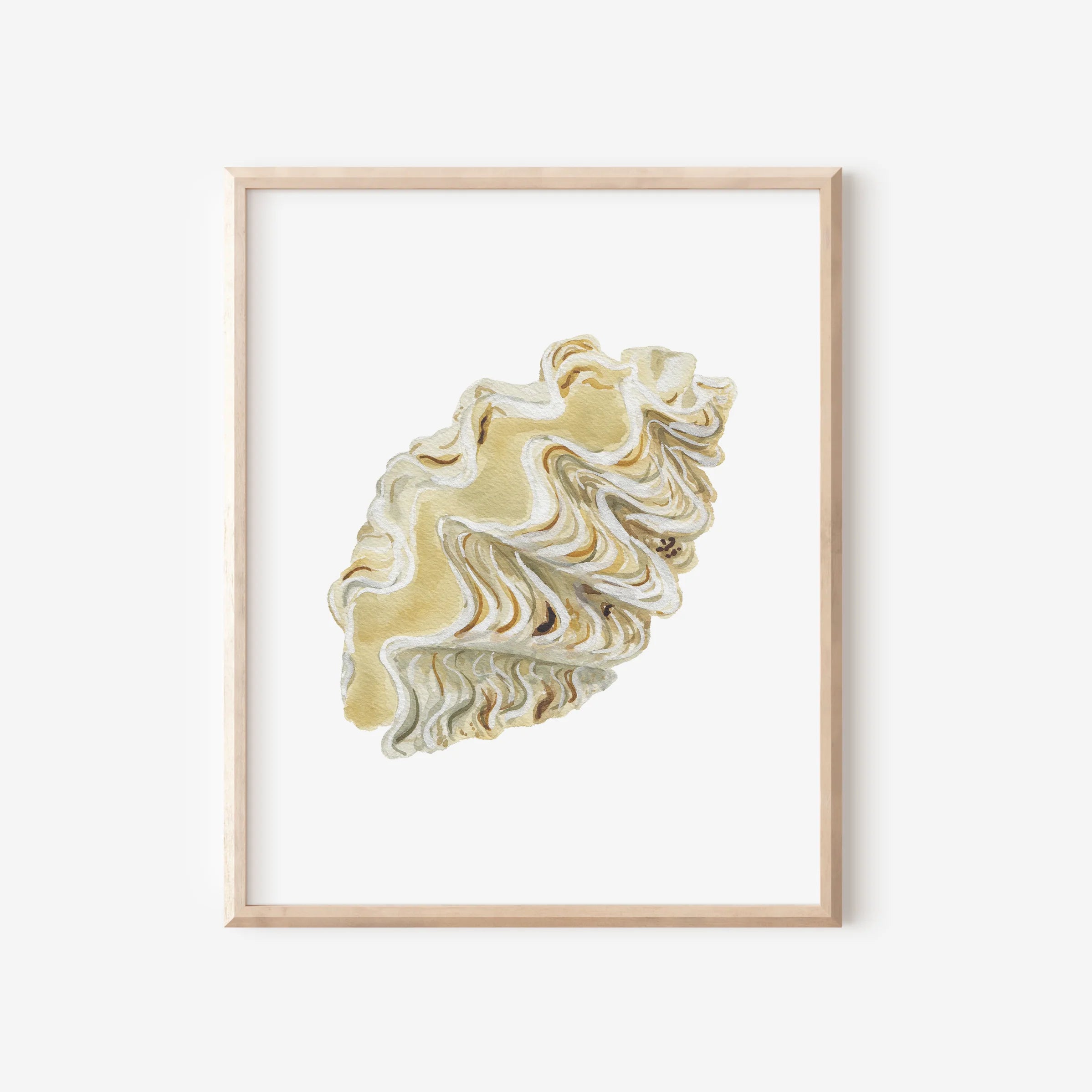 Giant Clamshell Art Print 8x10