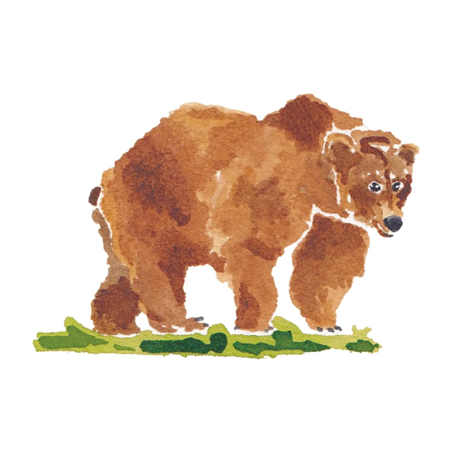 Baylor Bear Acrylic Art Block