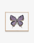 Colorado Hairstreak Art Print 8x10