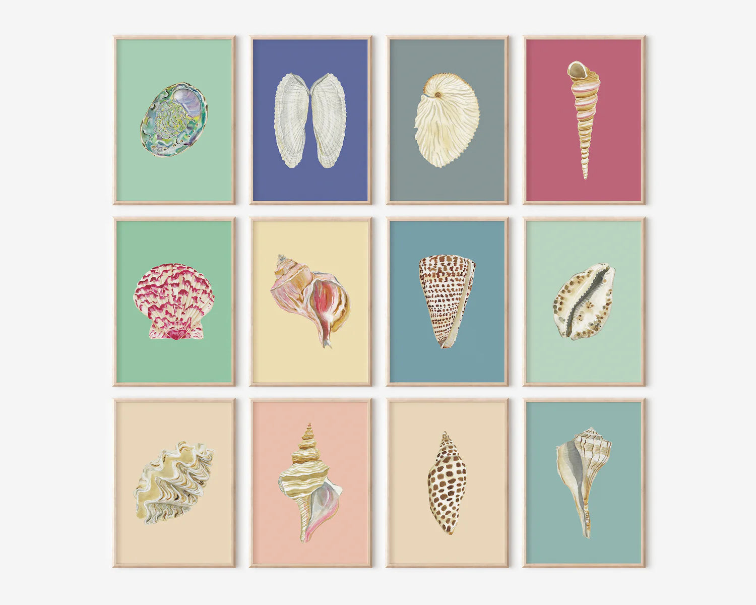 Junonia Art Print Colorful 5x7