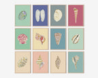 Channeled Whelk Art Print Colorful 5x7