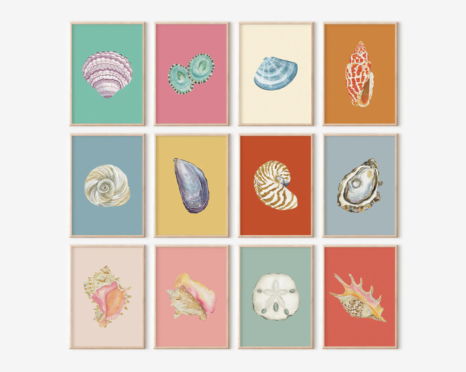 Manila Shell Art Print Colorful 5x7