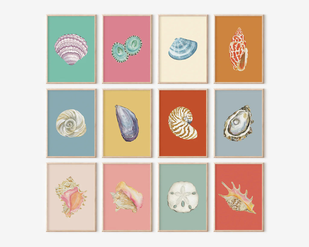Spider Conch  Art Print Colorful 5x7