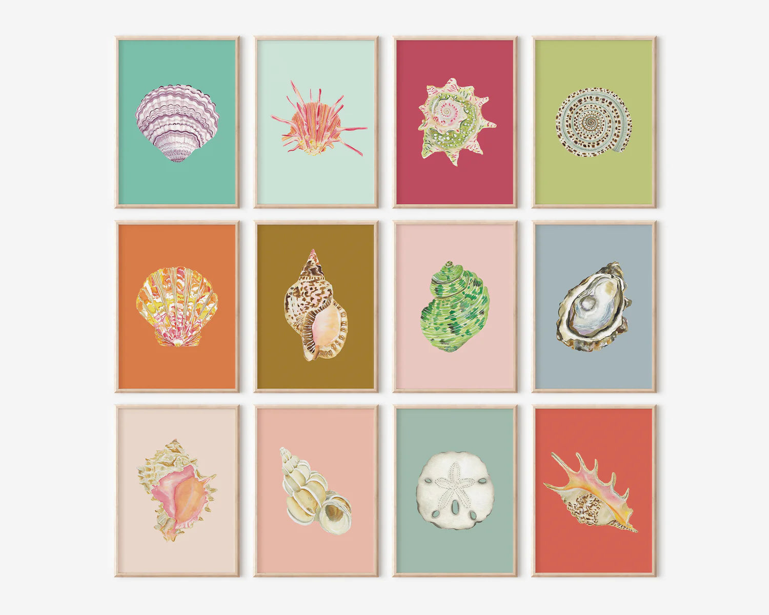 Turbo Shell Art Print Colorful 5x7