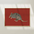 Armadillo Colorful Art Print 5x7