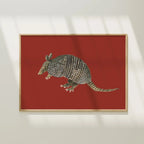 Armadillo Colorful Art Print 5x7