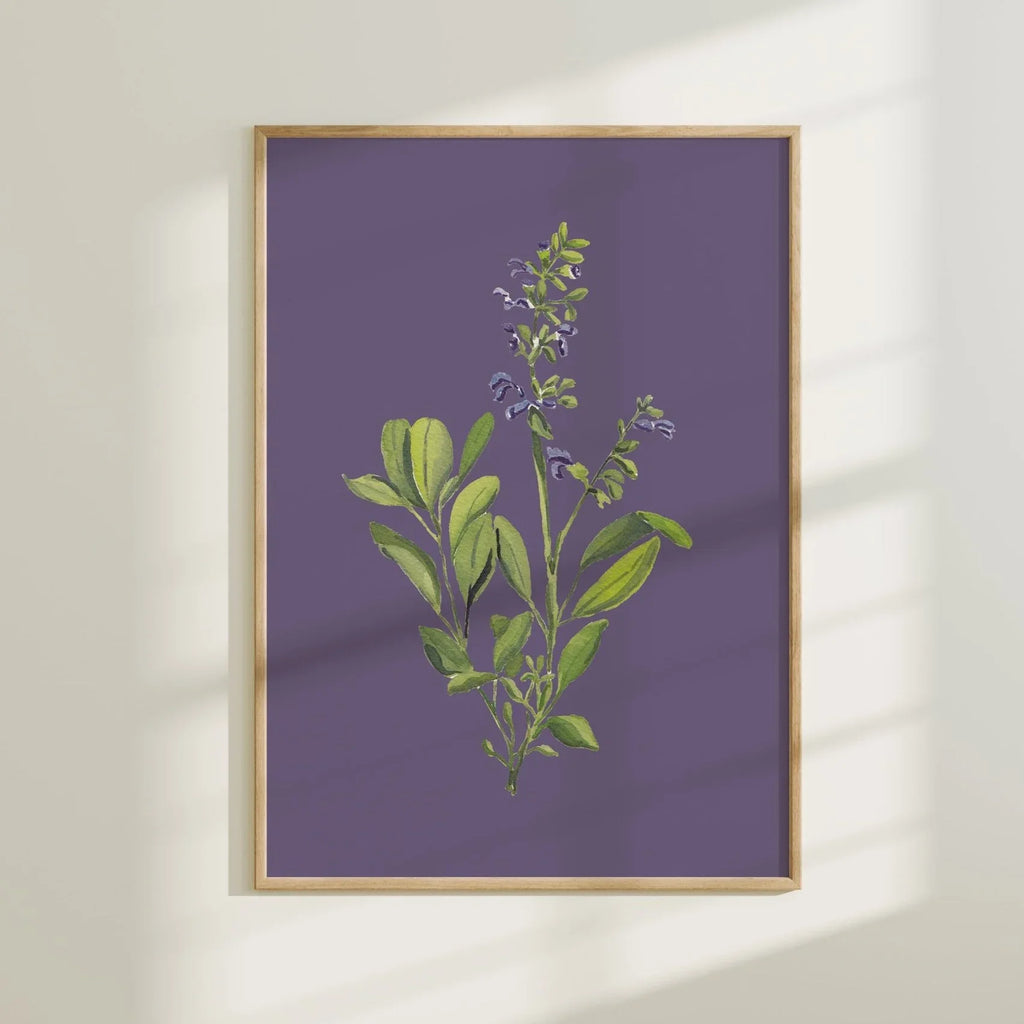 Flowering Sage Colorful Art Print 5x7