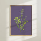 Flowering Sage Colorful Art Print 5x7