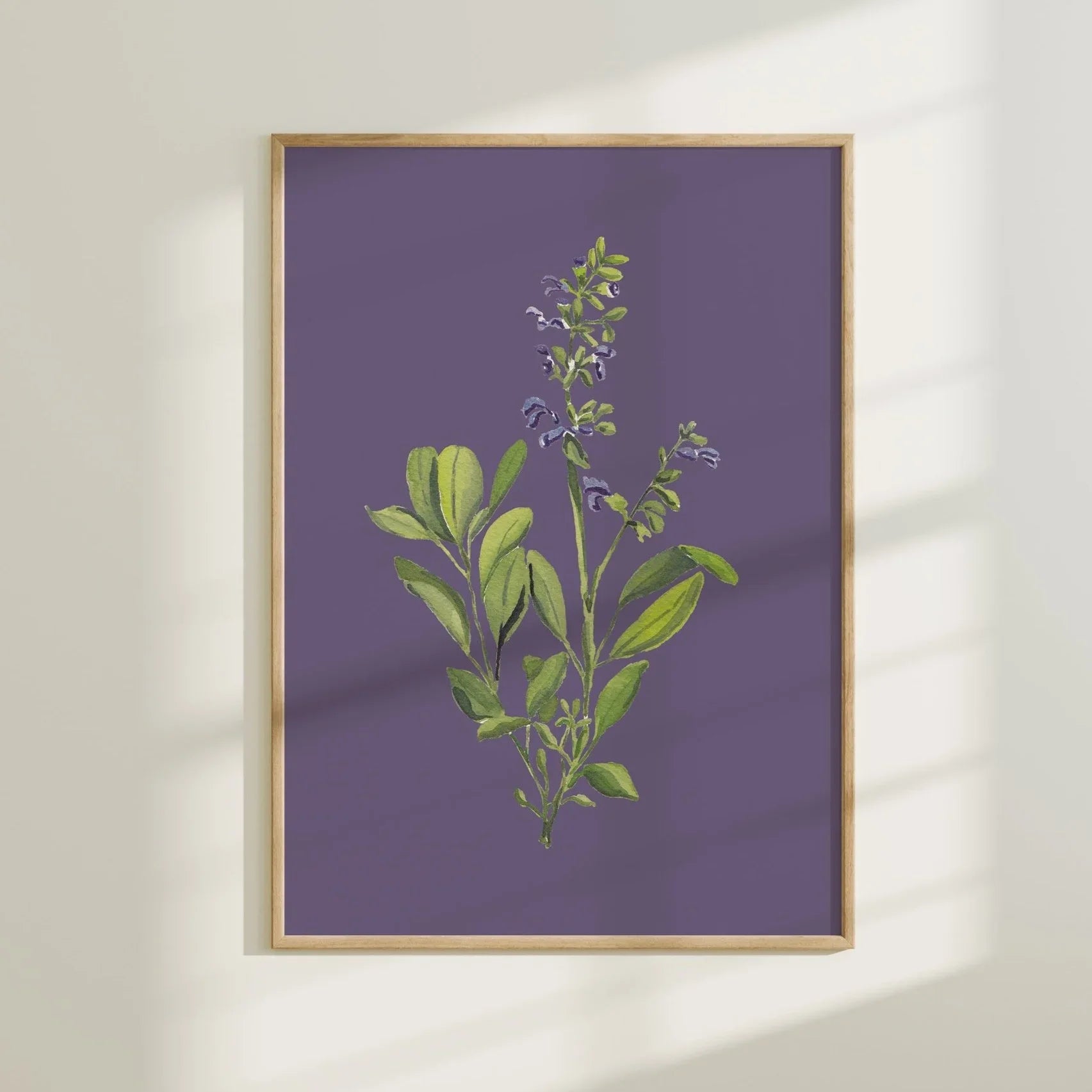Flowering Sage Colorful Art Print 5x7