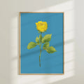 Yellow Rose Colorful Art Print 5x7