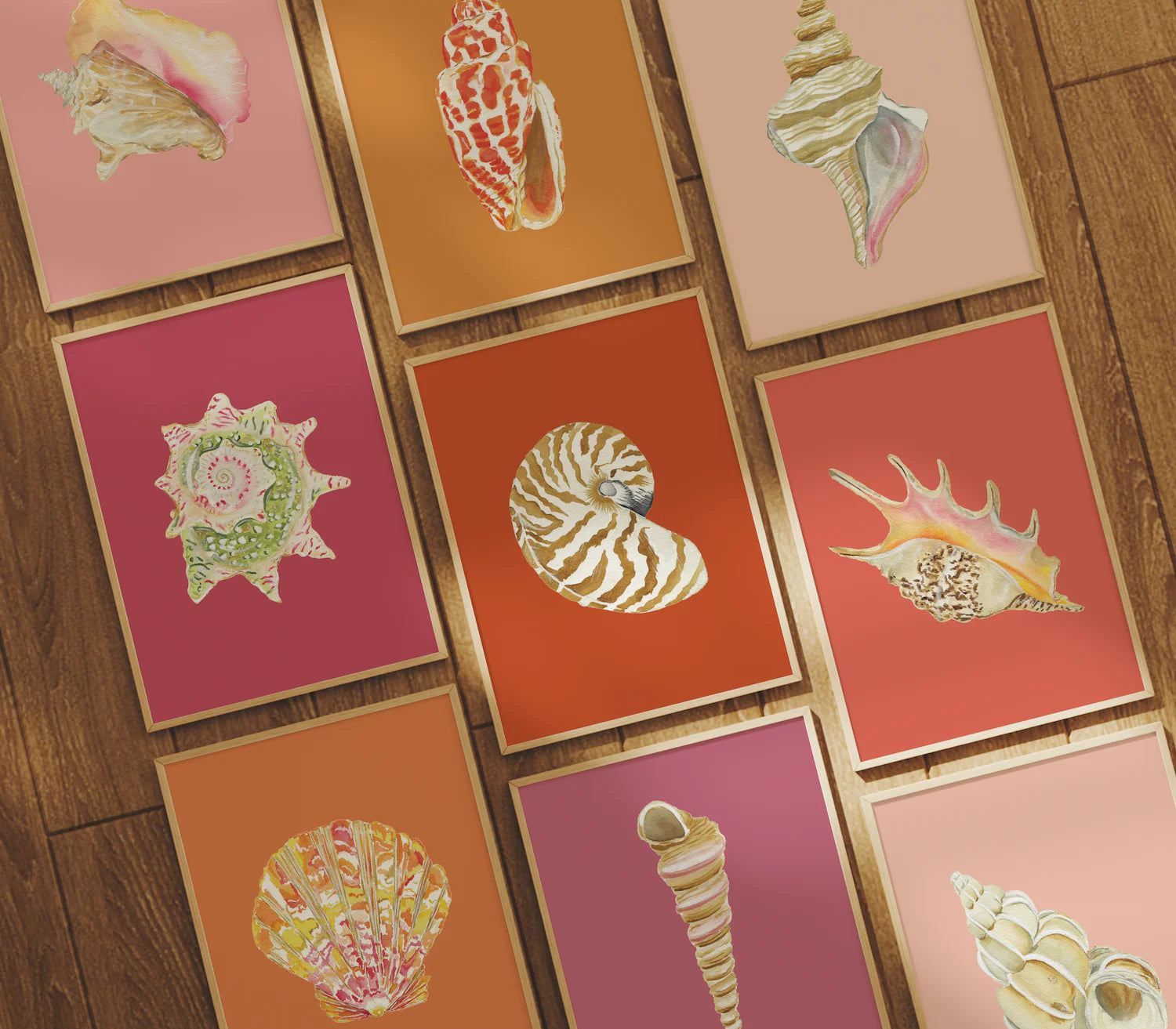 Star Shell Art Print Colorful 5x7