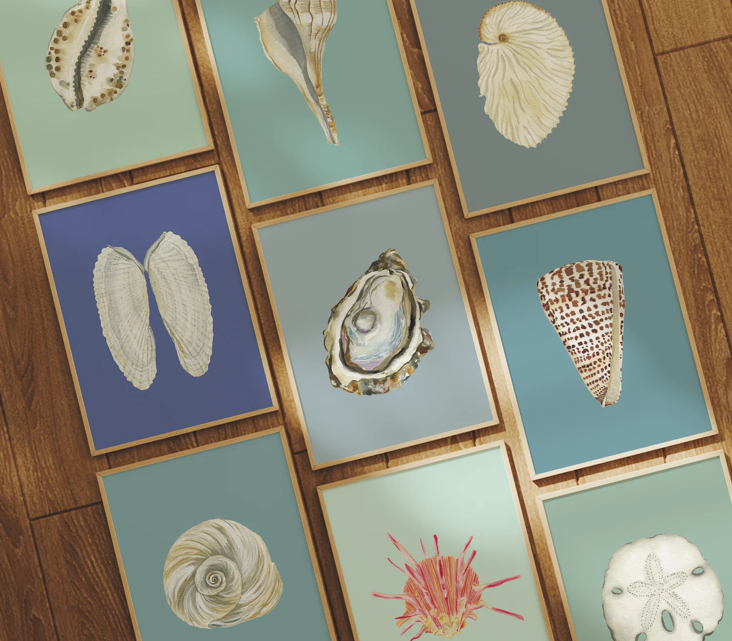 Cowrie Art Print Colorful 5x7