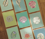 Lilac Cockle Art Print Colorful 5x7