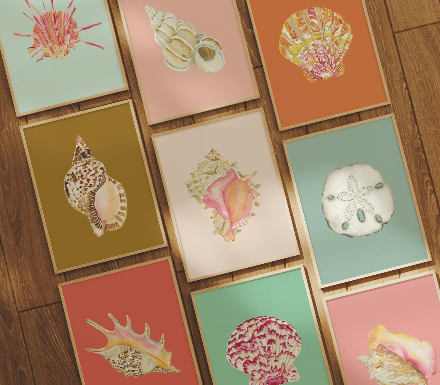 Calico Scallop Art Print Colorful 5x7