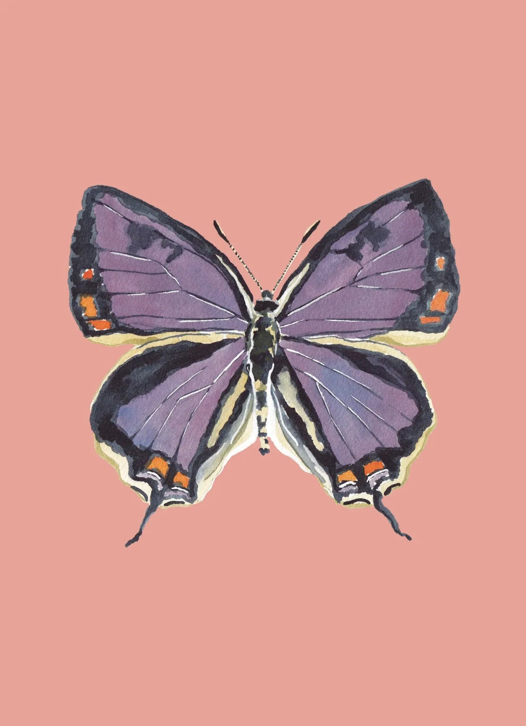 Colorado Hairstreak Colorful Art Print 5x7