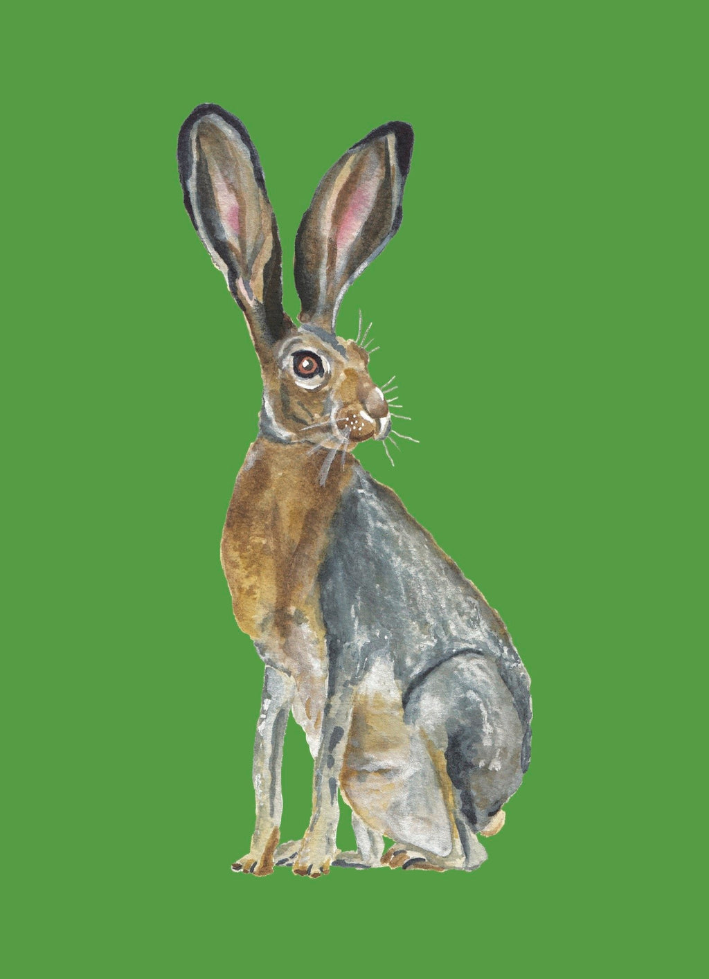Jackrabbit Colorful Art Print 5x7