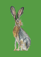 Jackrabbit Colorful Art Print 5x7