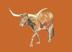 Longhorn Colorful Art Print 5x7