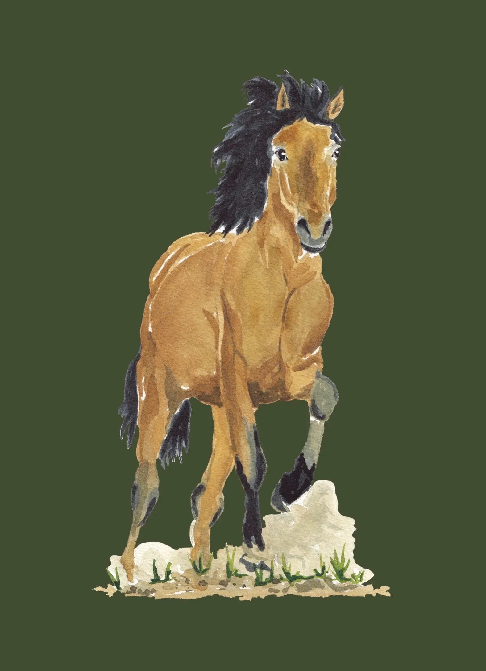 Wild Mustang Colorful Art Print 5x7