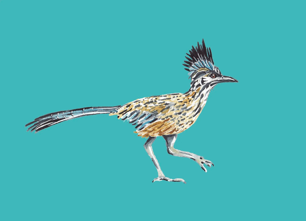 Roadrunner Colorful Art Print 5x7