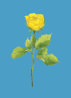 Yellow Rose Colorful Art Print 5x7