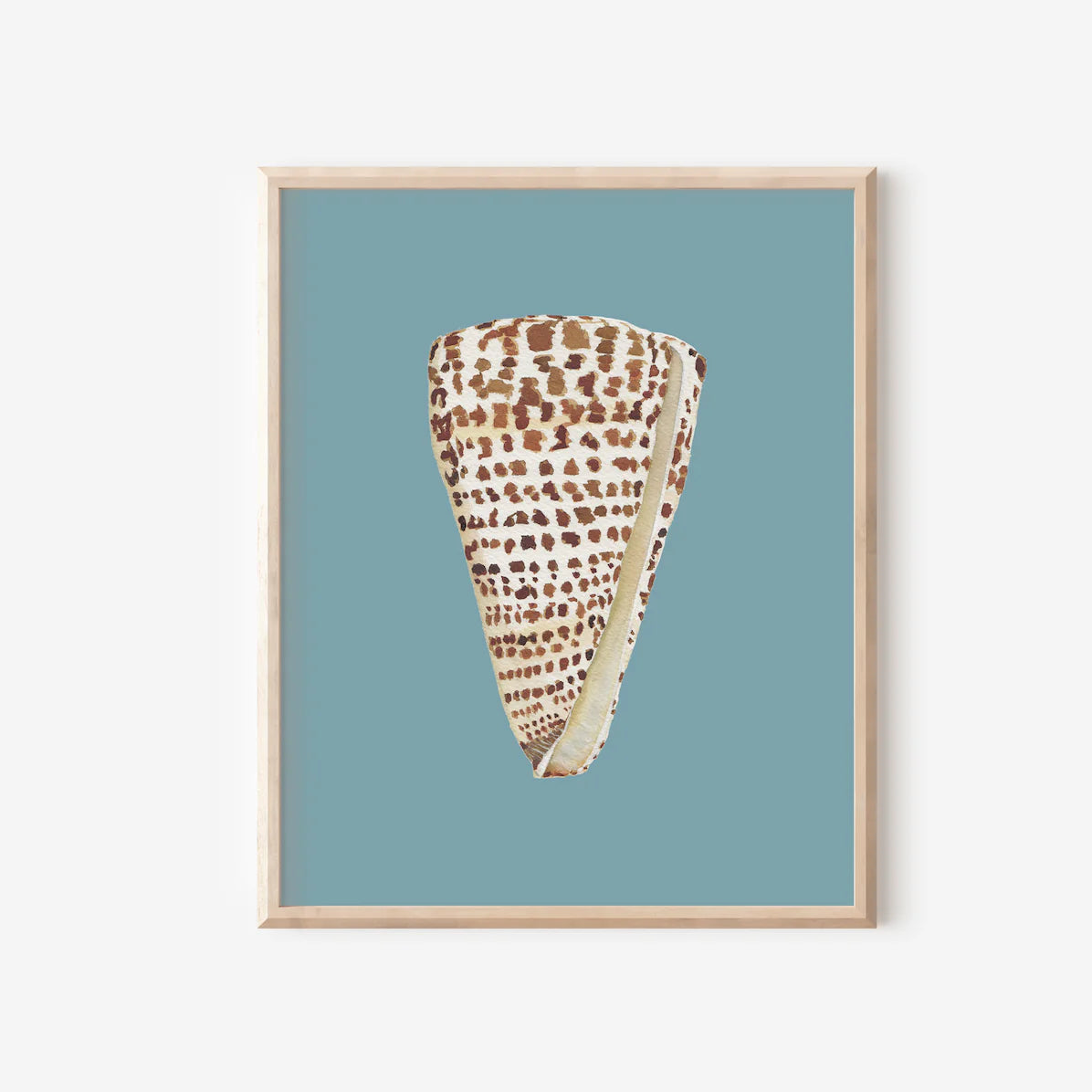 Cone Shell Art Print Colorful 5x7