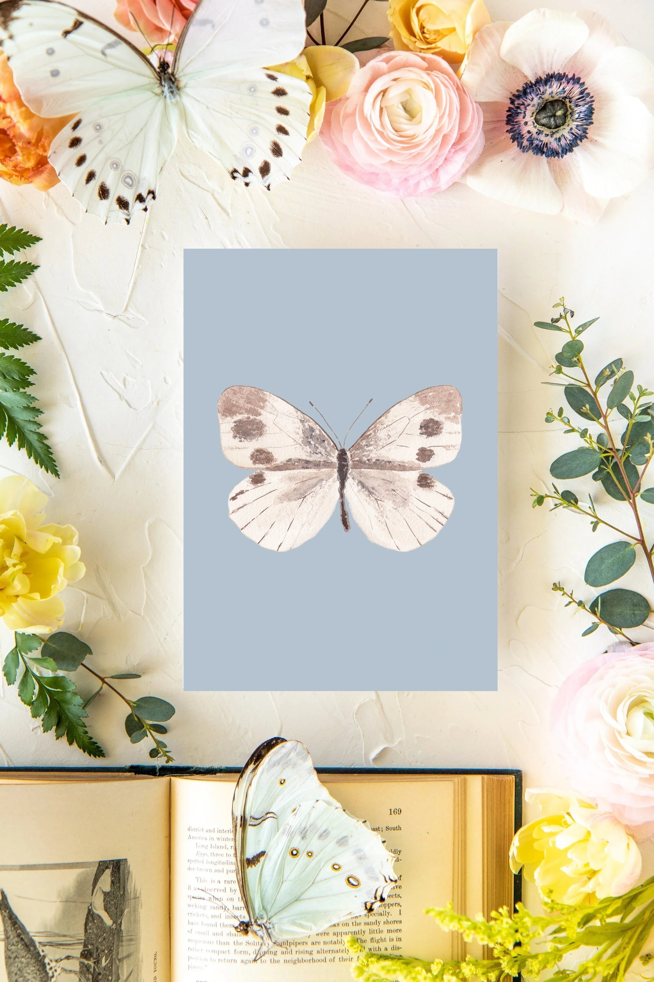 Cover Butterfly Print 5x7