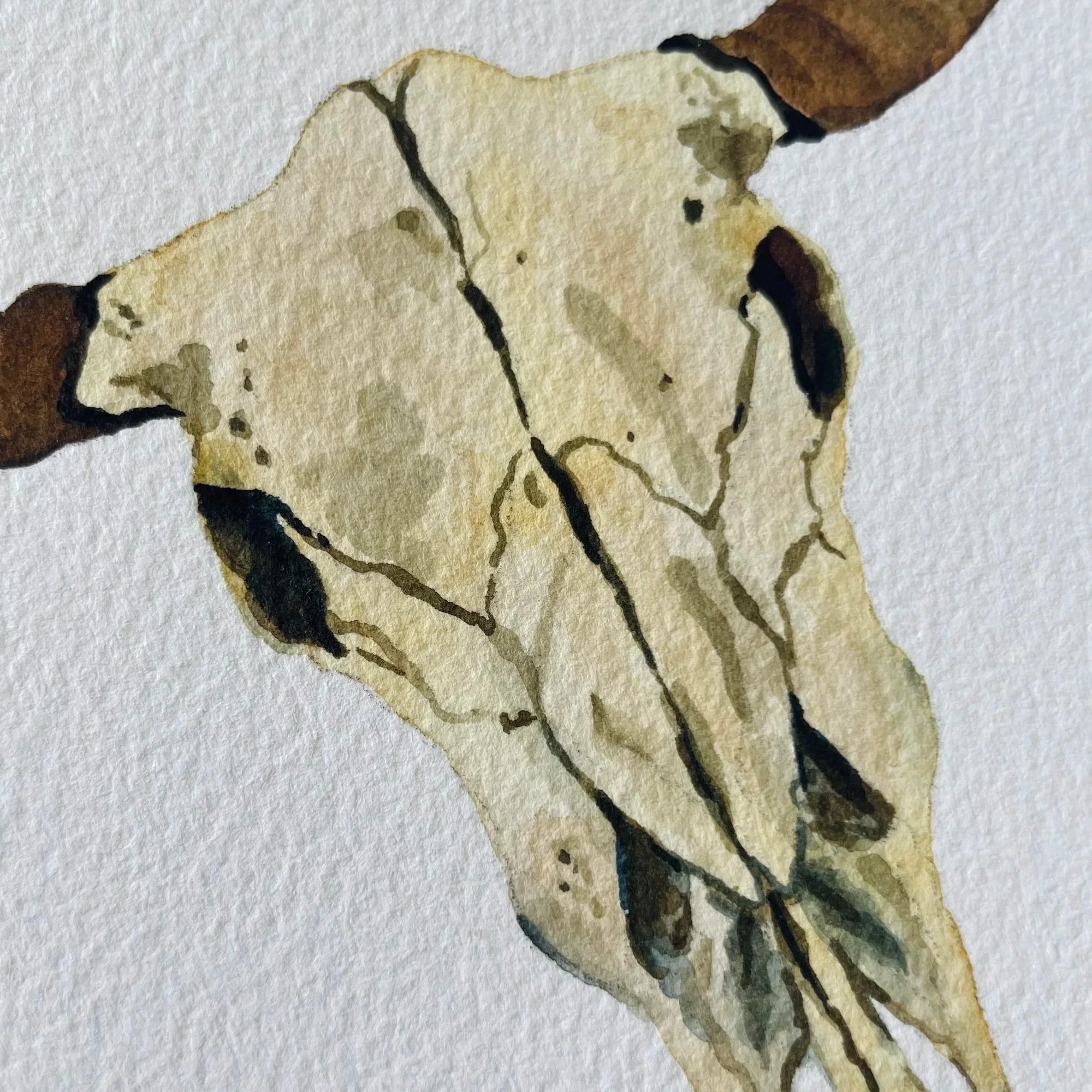 Cow Skull Art Print 8x10