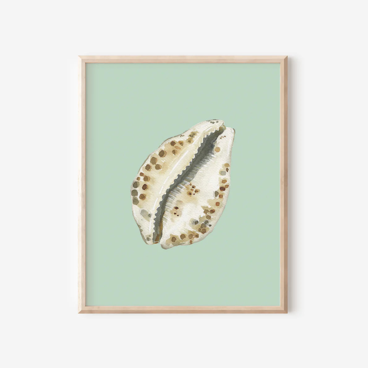 Cowrie Art Print Colorful 5x7