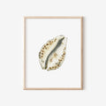 Cowrie Shell Art Print 8x10