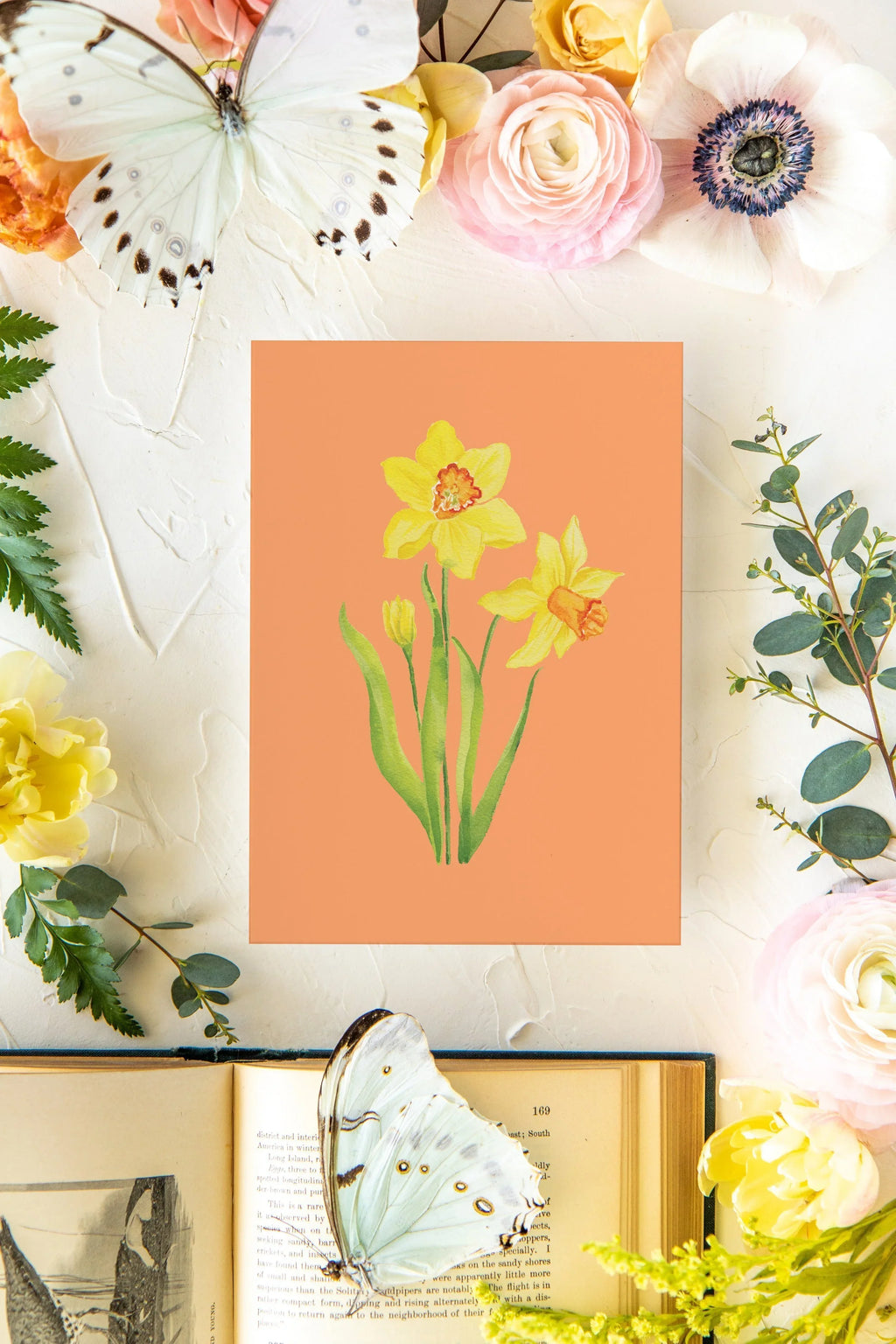 Colorful Botanical 5x7 Print - Daffodil