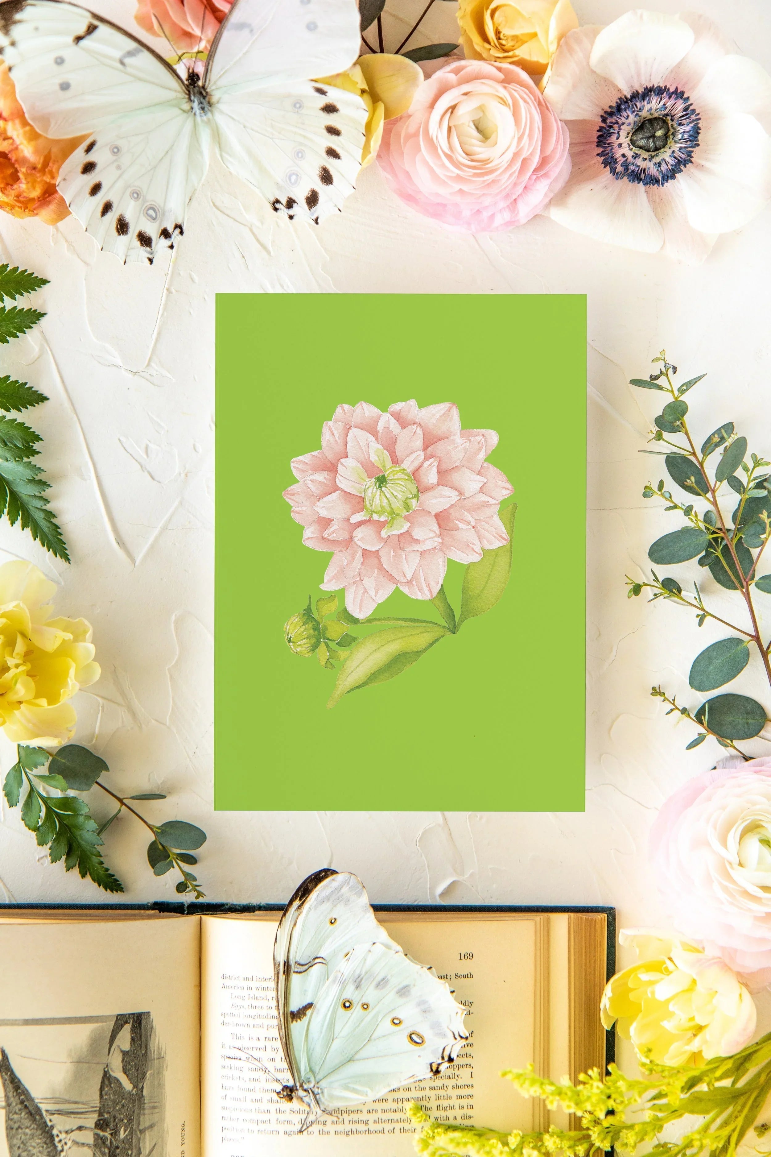 Colorful Botanical 5x7 Print - Dahlia