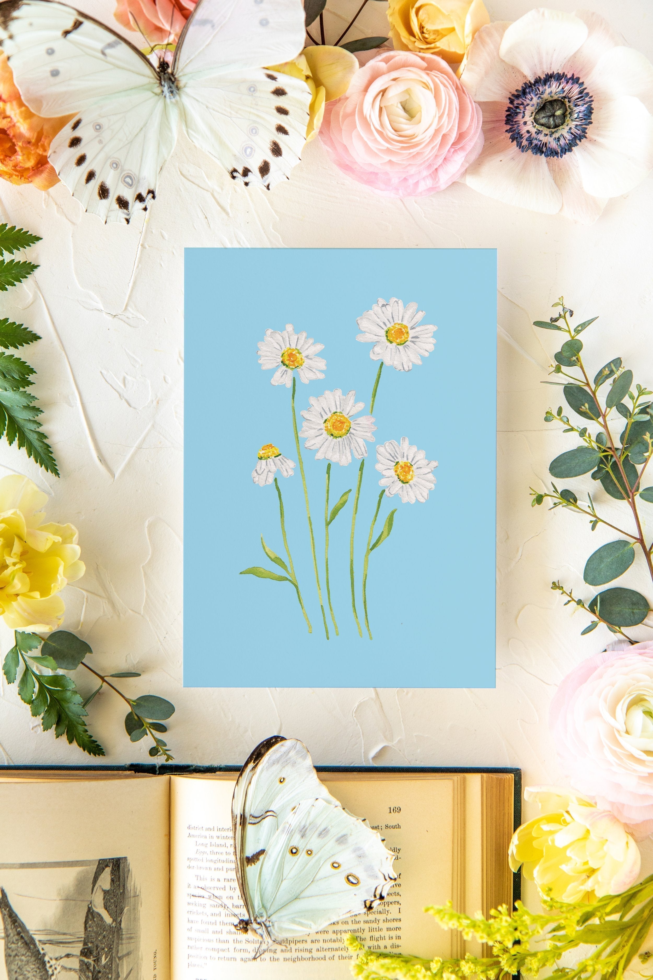 Colorful Botanical 5x7 Print - Daisy